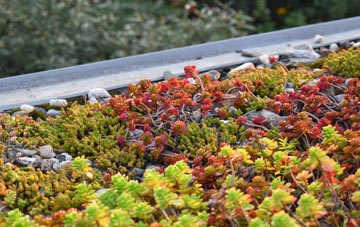 the cost of Broad Blunsdon green roof installation