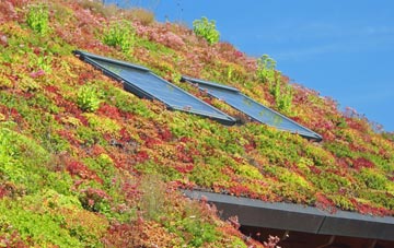 Broad Blunsdon living roof systems
