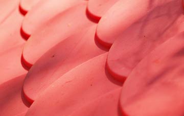 Broad Blunsdon plastic roof costs