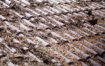 Broad Blunsdon roof cleaning companies