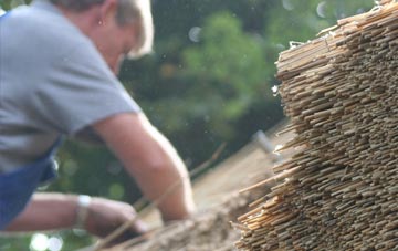 professional Broad Blunsdon thatchers