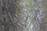 Broad Blunsdon fibreglass roof work